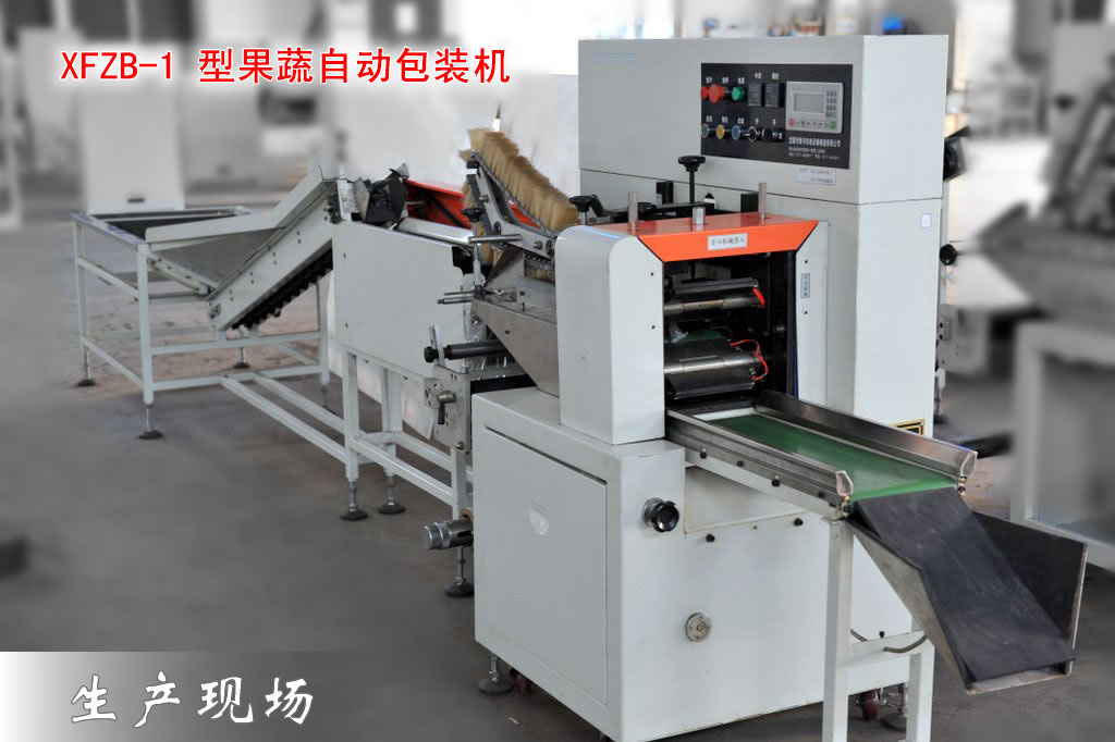 恒新牌XFZB-1型果蔬自動(dòng)包裝機(jī)